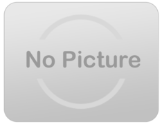 Local Business Advertising - Dumpster Display